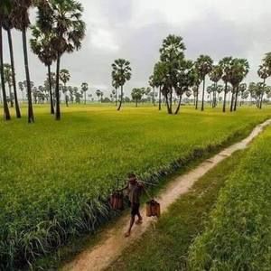 Meet your Posher, Lydia